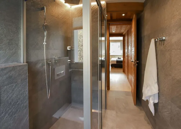 Dianthus-2 By Interhome Zermatt